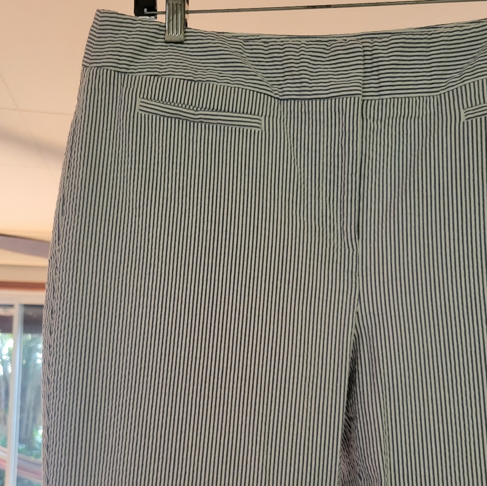 Ann Taylor Seersucker Striped Cropped Pants Size 12 - Picture 2 of 6